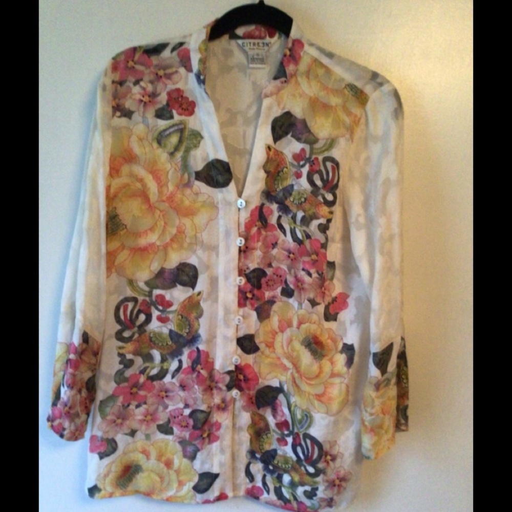 CITRON Santa Monica ,Silk and Rayon blouse SZ S